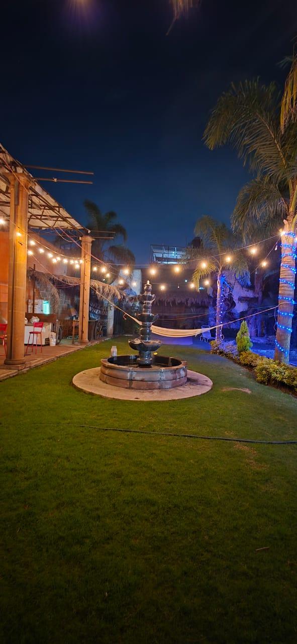 Jardín con luces cálidas