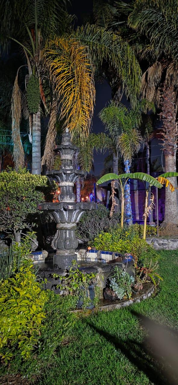 Fuente entre palmeras