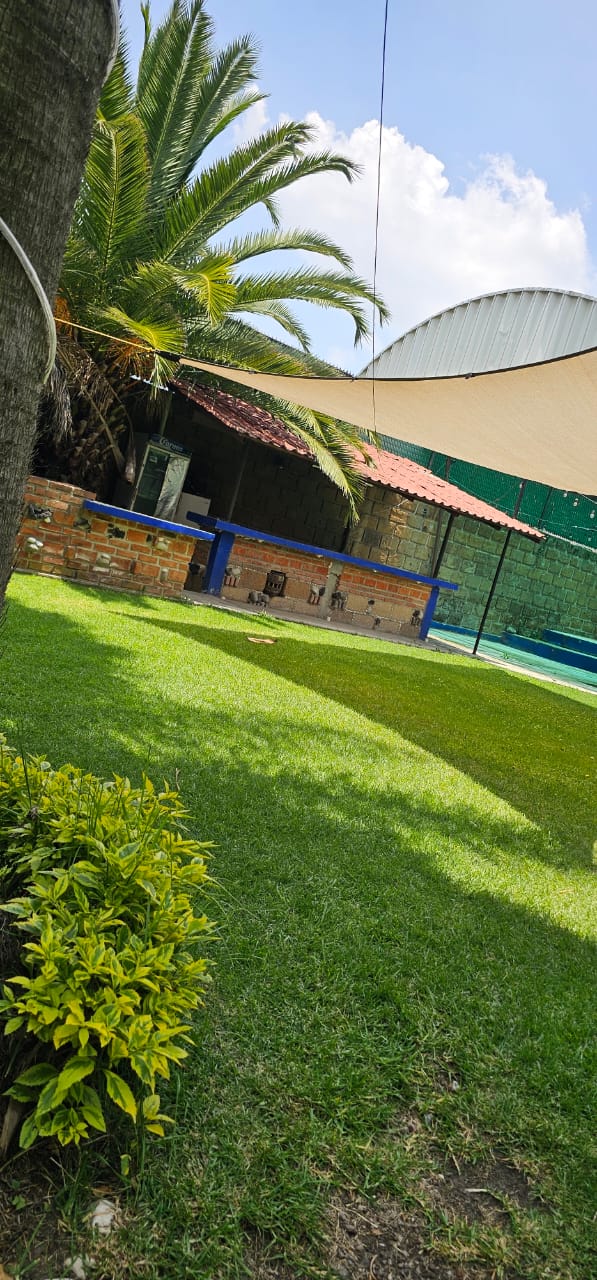 La palapa en el jardín